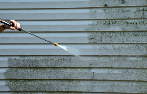 Pressure Washing Contractors in Warren, IL