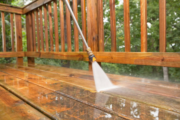Best Residential Pressure Washing Services  in Warren, IL