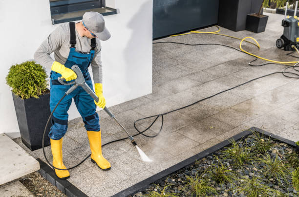 Best Roof Pressure Washing  in Warren, IL