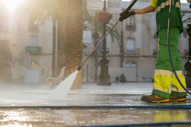 Best Affordable Power Washing  in Warren, IL