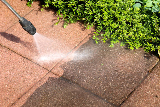 Best Exterior Home Cleaning  in Warren, IL